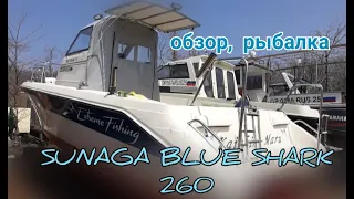 Вышли на рыбалку на SUNAGA BLUE SHARK 260 краткий обзор .