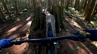 two trails from top to bottom, trying my best time!