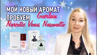 Мой новый аромат Guerlain. Пробуем Narcotic Venus Nasomatto.