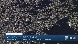 Mote scientists testing possible red tide breakthrough