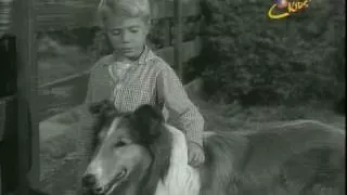 Lassie - 4x16 - The Goose