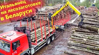 Новый грузовик МАЗ лесовоз из Беларуси с манипулятором Марчези из Италии
