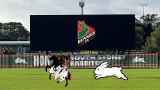 On The Field With The Rabbitohs