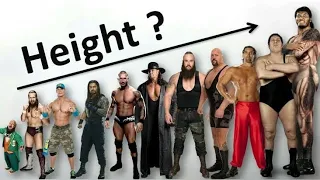 WWE Wrestler Height Comparison