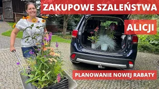 Ciekawe rośliny do ogrodu  - Jak planować rozmieszczenie kwiatów na rabacie