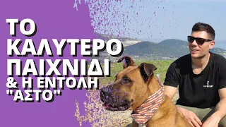 ΤΟ ΚΑΛΥΤΕΡΟ ΠΑΙΧΝΙΔΙ ΠΟΥ ΜΠΟΡΕΙΣ ΝΑ ΠΑΙΞΕΙΣ ΜΕ ΤΟΝ ΣΚΥΛΟ ΣΟΥ & Πώς να του μάθεις την εντολή "ΑΣΤΟ"