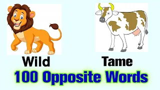 100 Opposite Words With Pictures | Opposite Words for Kids |Opposite Words in English
