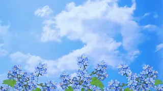 Футаж фоновый, цветы hd для видеомонтажа/background flowers
