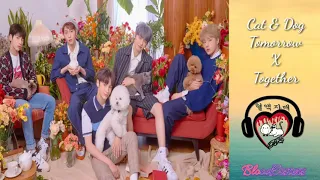 Tomorrow X Together (투모로우바이투게더) - Cat and Dog (Han/Rom Lyrics/가사)