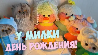 🎄Новый год перешел в ДЕНЬ РОЖДЕНИЯ!🎂Уточке Милке 7 лет!