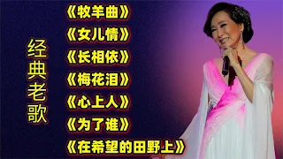 经典老歌《牧羊曲》《女儿情》《长相依》《梅花泪》《心上人》等