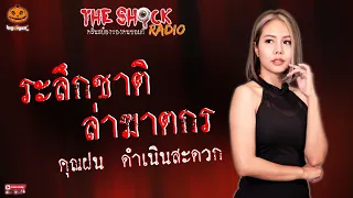 ระลึกชาติ..ล่าฆาตกร คุณฝน ดำเนินสะดวก l TheShock13