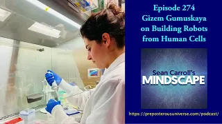 Mindscape 274 | Gizem Gumuskaya on Building Robots from Human Cells