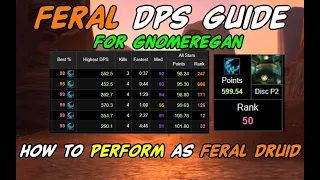 How to dps as feral druid in Gnomeregan | P2 feral dps guide | #classicwow