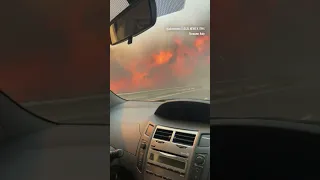 Wildfires captured on video along Sicily highway