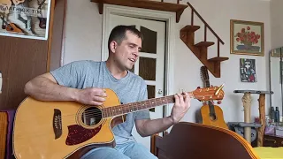 Green Grey Эмигрант (cover)