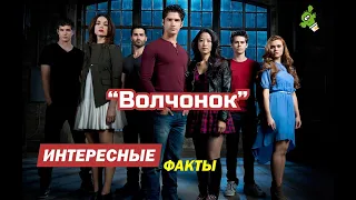 Интересные факты о сериале «Волчонок» |  Выход полнометражного фильма