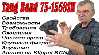 Купольный мид Tang Band 75-1558SH для моей трех-полоски. Поговорим, послушаем, обсудим