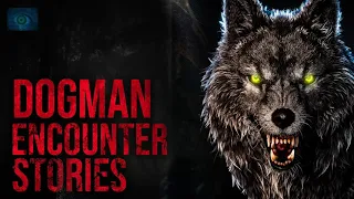 WATCH OUT FOR THE WOLF MEN - SCARY STORIES OF DOGMAN ENCOUNTERS