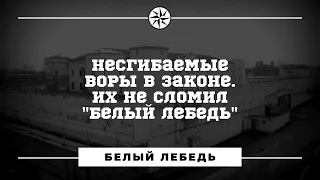 Несгибаемые воры в законе. Их не сломил "Белый лебедь".