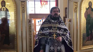 Проповедь в Неделю 5-ю Великого поста, прп. Марии Египетской. Священник Владимир Чебышев