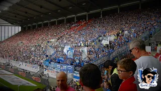 18.05.2019 / FSV Mainz - TSG Hoffenheim