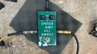 Epstein Didn't Kill Himself fuzz pedal - Acorn Amps