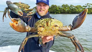 Big rains mean Monster crabs! (Catch, Clean Cook)