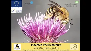 POLLINISATEURS, tous concernés ! Hugues Mouret, ARTHROPOLOGIA