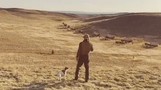 the Ballad of Buster Scruggs (2018) 西部老巴的故事 預告片