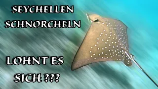 Seychellen - Schnorchelparadies ???  Teil 3/3