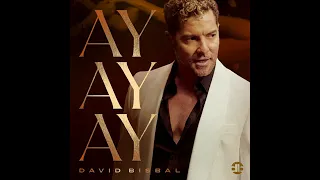 david bisbal - ay ay ay audio oficial