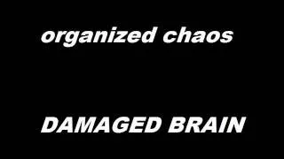 Organized Chaos - V-A Is Music Dead comp tape - Brain Damage.wmv
