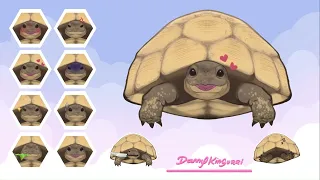 Turtle  | Live2D Vtuber Model Showcase!