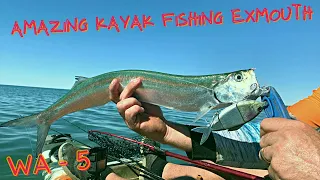 Amazing kayak fishing Exmouth gulf - WESTERN AUSTRALIA - Episode 5