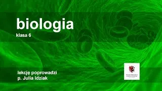 Biologia - klasa 6 SP. Przegląd i znaczenie ssaków