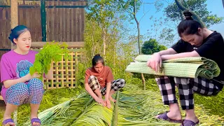 15 days: 17-year-old girl is kicked out of her house - builds a bamboo house - harvests vegetables