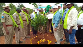 Forest Department Haritha Haram