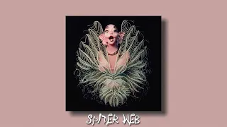 melanie martinez - spider web (sped up + reverb)
