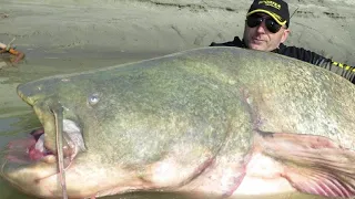 Shockingly Large Creatures That Actually Exist
