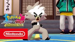 Pokémon Sword & Pokémon Shield - Towers of Two Fists (Nintendo Switch)