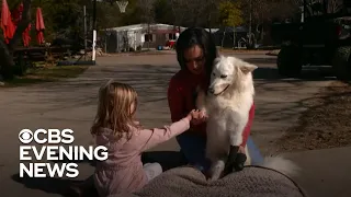 Rescue animals comfort children with disabilities