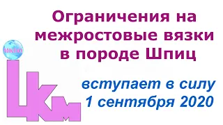 Ограничения на межростовые вязки в породе Немецкий шпиц