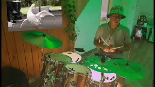 Wellboy- Гуси drum cover