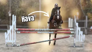 Je monte VOS chevaux l Coup de CŒUR pour Hava ! 😍