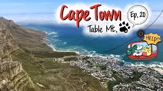 Table Mountain! | Why you need to visit Cape Town | International Couple Doggy & Moggy Ep20