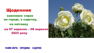 Щоденник важливих справ на городі, в садочку, на квітнику 07-08 вересня 2023 року