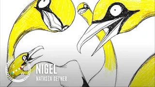 Nigel | Experimental Animated Short Film About a Lonely Gannet