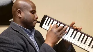 Melodica blues solo / sonnyboy Williamson shuffle blues style