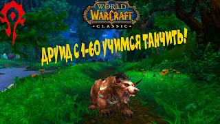 WORLD OF WARCRAFT CLASSIC ДРУИД С 1-60 часть 40